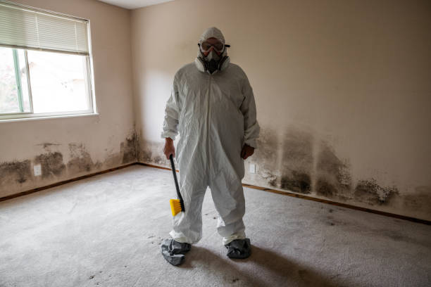 Crawl Space Mold Removal in Lake City, FL